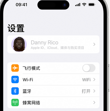 府谷appleID维修服务iPhone设置中Apple ID显示为灰色无法使用 