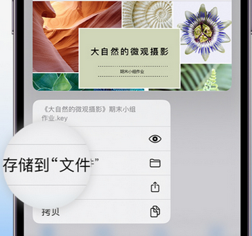 府谷apple维修中心分享iPhone文件应用中存储和找到下载文件