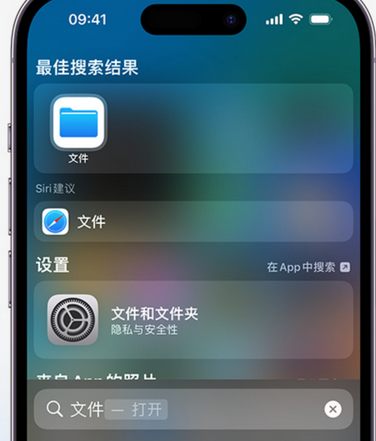 府谷apple维修中心分享iPhone文件应用中存储和找到下载文件 