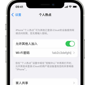 府谷apple服务站点分享iPhone上个人热点丢失了怎么办