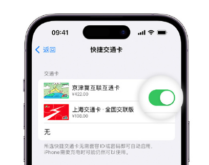 府谷apple维修点分享iPhone上更换Apple Pay快捷交通卡手绘卡面 