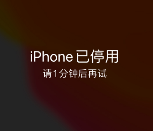 府谷苹果手机维修分享:iPhone 显示“不可用”或“已停用”怎么办？还能保留数据吗？ 