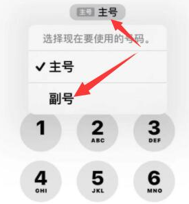 府谷苹果14维修店分享iPhone 14 Pro Max使用副卡打电话的方法 