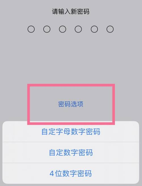 府谷苹果14维修分享iPhone 14plus设置密码的方法 