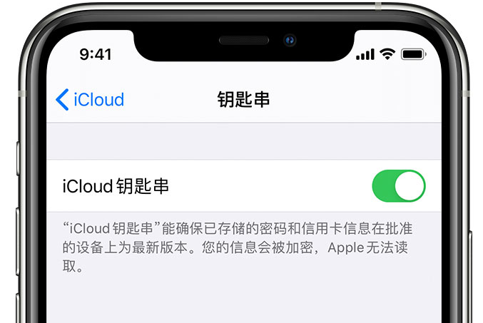 府谷苹果手机维修分享在 iPhone 上开启 iCloud 钥匙串之后会储存哪些信息 