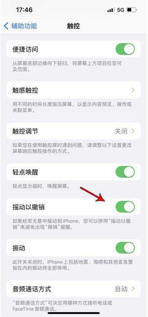 府谷苹果手机维修分享iPhone手机如何设置摇一摇删除文字 